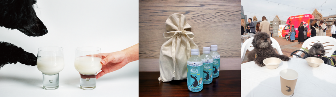 業界初のコンセプト!愛犬と母の乾杯ギフトを企画中。母の日に愛犬と楽しめるドリンクギフトセットです。