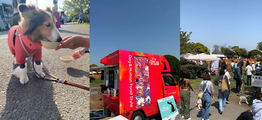 横浜のドッグランイベントに出店しました。(ドッグラン・ラボ:ビーグルエリア) フードキュレートラボ