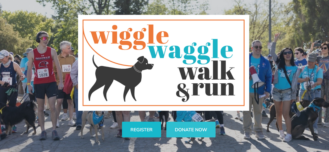 カリフォルニア・パサデナで開催されるイベントに出展します！(現地：2026年4月19日(土))